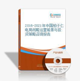 2016-2020年中國柏子仁電商戰(zhàn)略運營前景與投資策略咨詢